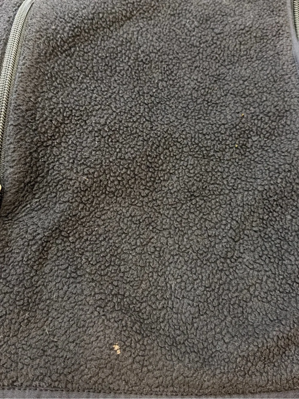 Patagonia Black Fleece Vest